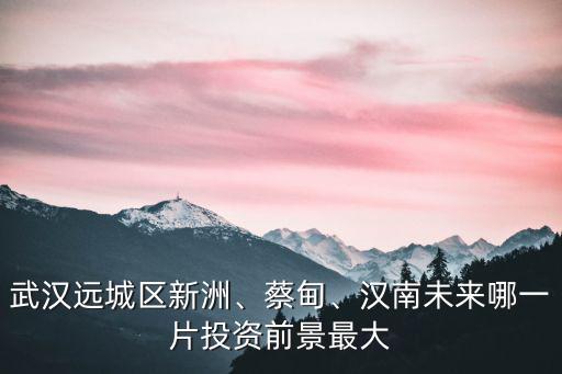 武漢遠(yuǎn)城區(qū)新洲、蔡甸、漢南未來哪一片投資前景最大