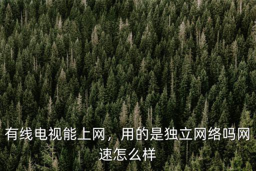 黃石有線電視的網怎么樣,誰家用的有線電視網絡的寬帶