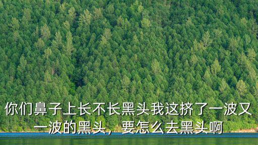 你們鼻子上長不長黑頭我這擠了一波又一波的黑頭，要怎么去黑頭啊