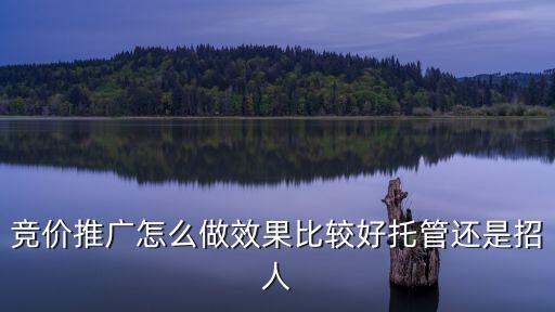 競(jìng)價(jià)推廣怎么做效果比較好托管還是招人