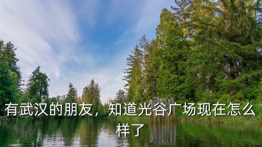 有武漢的朋友，知道光谷廣場現在怎么樣了