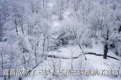 宜昌三峽專利事務所怎么樣,三峽大學怎么樣
