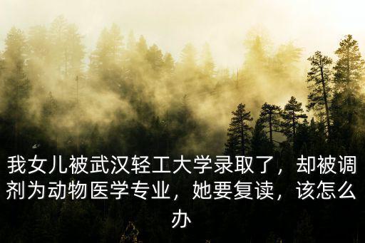 武漢輕工大學進修怎么收費,湖北的武漢輕工大學怎么樣