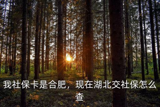 湖北黃梅縣的社保怎么查,現在湖北交社保怎么查