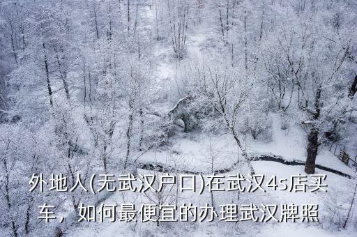 外地人(無武漢戶口)在武漢4s店買車，如何最便宜的辦理武漢牌照