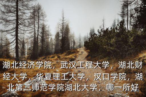 湖北經濟學院，武漢工程大學，湖北財經大學，華夏理工大學，漢口學院，湖北第二師范學院湖北大學，哪一所好
