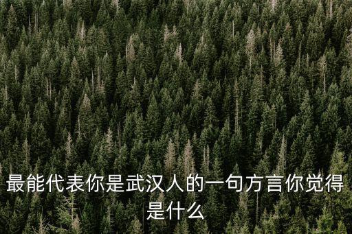 最能代表你是武漢人的一句方言你覺得是什么