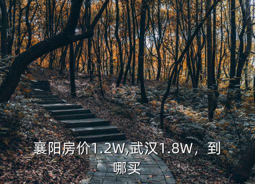 襄陽房價1.2W,武漢1.8W，到哪買