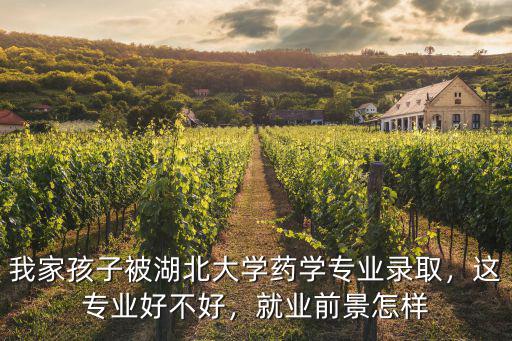 我家孩子被湖北大學(xué)藥學(xué)專業(yè)錄取，這專業(yè)好不好，就業(yè)前景怎樣