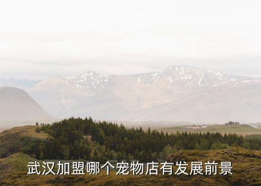 武漢加盟哪個寵物店有發展前景