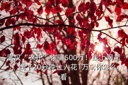 武漢“衣托”詐騙500萬！線上網戀，線下20分鐘讓人花1萬5,你怎么看
