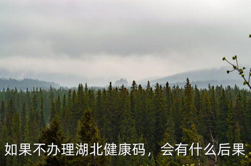 湖北健康碼打不了卡了怎么辦,湖北健康碼打卡為什么取消了