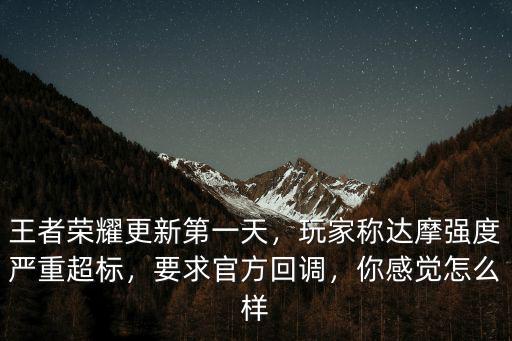 王者榮耀更新第一天，玩家稱達摩強度嚴重超標，要求官方回調(diào)，你感覺怎么樣