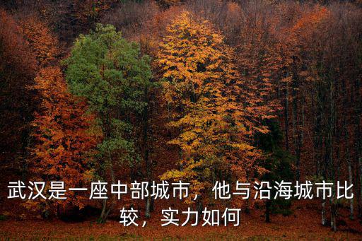 武漢市怎么樣一座城市,武漢是一座中部城市