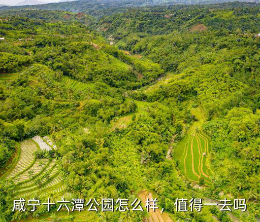 咸寧十六潭公園怎么樣，值得一去嗎