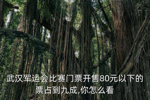 武漢軍運(yùn)會(huì)比賽門票開售80元以下的票占到九成,你怎么看