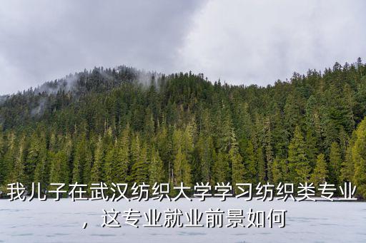 武漢紡織大學(xué)電氣化專業(yè)怎么樣,報(bào)考武漢紡織大學(xué)怎么樣
