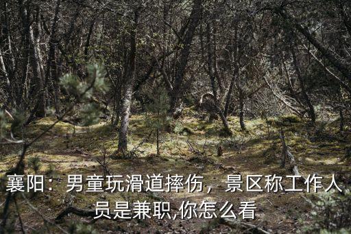 襄陽：男童玩滑道摔傷，景區稱工作人員是兼職,你怎么看