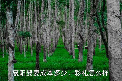 襄陽農村娶媳婦彩禮怎么處理,農村媳婦好幾萬彩禮娶回家