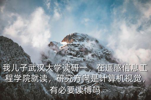 我兒子武漢大學讀研一，在遙感信息工程學院就讀，研究方向是計算機視覺，有必要讀博嗎