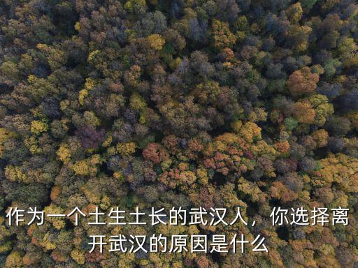 作為一個土生土長的武漢人，你選擇離開武漢的原因是什么