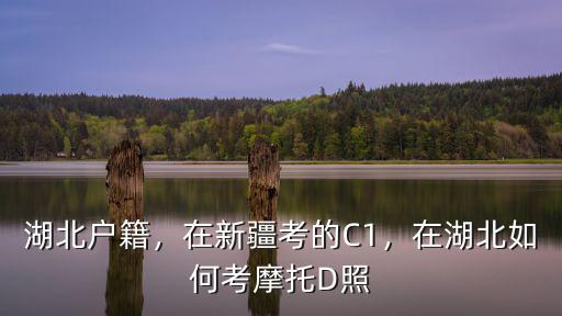 湖北戶籍，在新疆考的C1，在湖北如何考摩托D照