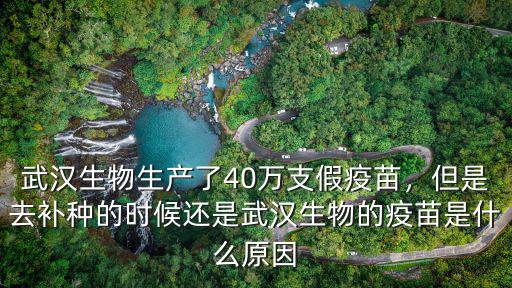武漢疫苗是怎么來的,武漢生物的疫苗也出現問題