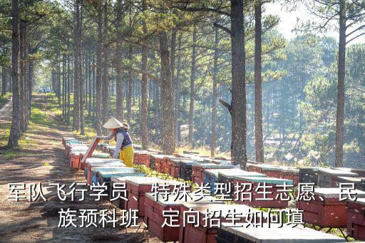 軍隊飛行學員、特殊類型招生志愿、民族預科班、定向招生如何填