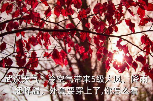 武漢天氣：冷空氣帶來5級大風，降雨還降溫，外套要穿上了,你怎么看