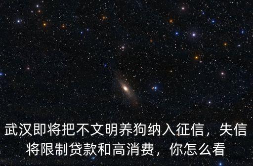 武漢即將把不文明養(yǎng)狗納入征信，失信將限制貸款和高消費，你怎么看