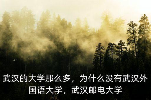 怎么能進武漢實驗外國語學校,武漢崇文外國語學校怎么樣