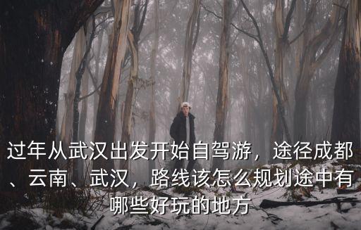 過年從武漢出發開始自駕游，途徑成都、云南、武漢，路線該怎么規劃途中有哪些好玩的地方