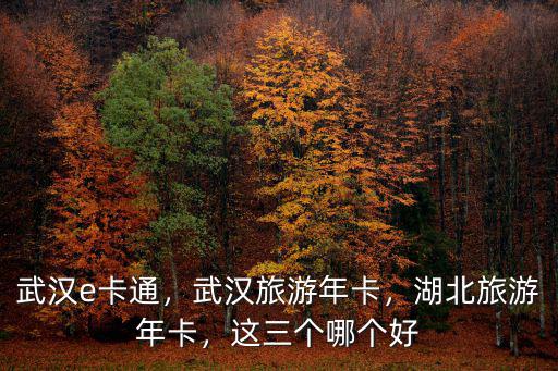 兒童武漢旅游年卡怎么買,武漢旅游年卡