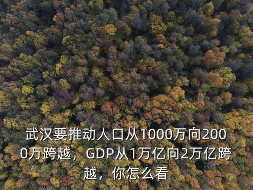 武漢要推動人口從1000萬向2000萬跨越，GDP從1萬億向2萬億跨越，你怎么看