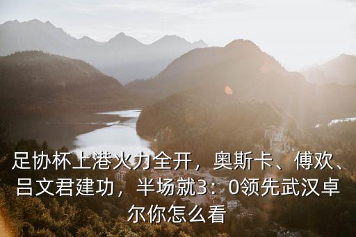 上海上港對(duì)武漢卓爾怎么看,上海上港vs武漢卓爾