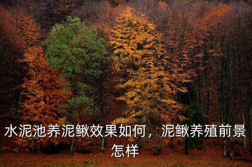 孝感現在養泥鰍怎么樣,泥鰍養殖前景怎樣