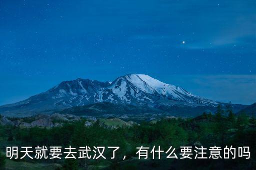 明天就要去武漢了，有什么要注意的嗎