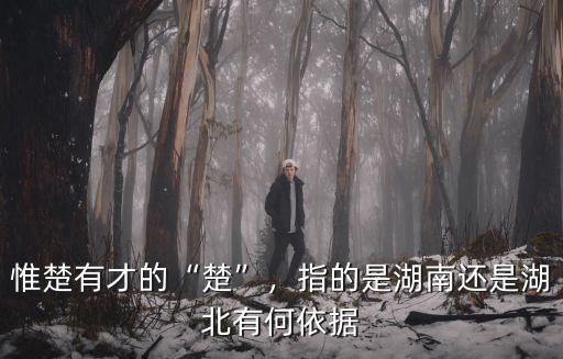 惟楚有才的“楚”，指的是湖南還是湖北有何依據