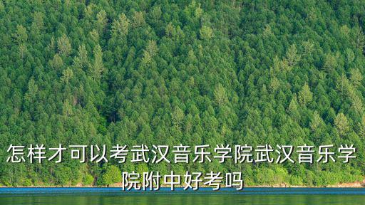 怎樣才可以考武漢音樂學院武漢音樂學院附中好考嗎