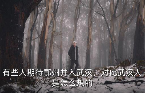 武漢人怎么看待黃陂,對此武漢人是怎么想的