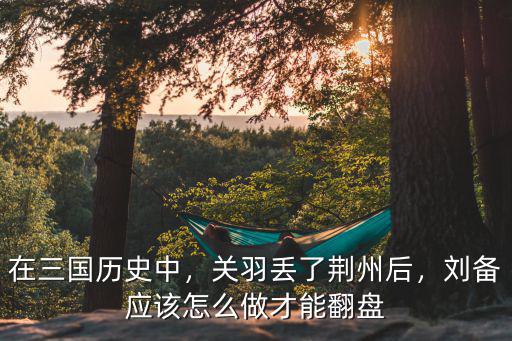 在三國歷史中，關羽丟了荊州后，劉備應該怎么做才能翻盤
