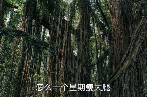 怎么一個星期瘦大腿