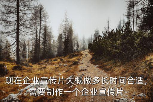 武漢企業宣傳片制作怎么樣,需要制作一個企業宣傳片