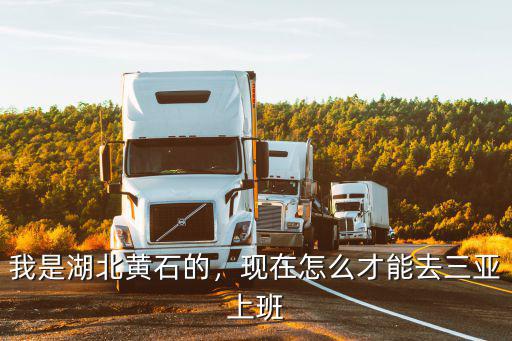 我是湖北黃石的，現(xiàn)在怎么才能去三亞上班