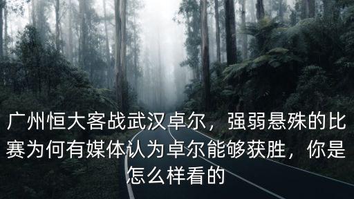 武漢卓爾比賽怎么樣,2負于武漢卓爾的比賽