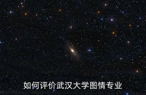 武漢大學(xué)情報(bào)專(zhuān)業(yè)怎么樣,如何評(píng)價(jià)武漢大學(xué)圖情專(zhuān)業(yè)