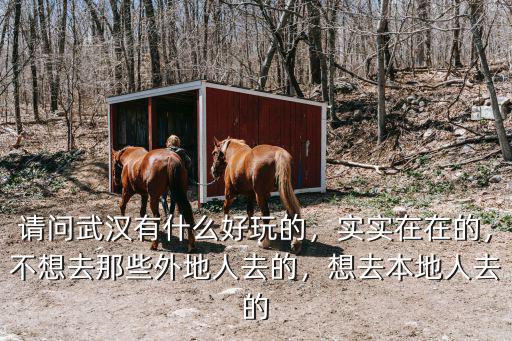 請問武漢有什么好玩的，實實在在的，不想去那些外地人去的，想去本地人去的