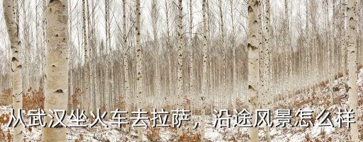 從武漢怎么樣去拉薩,從武漢出發(fā)去拉薩