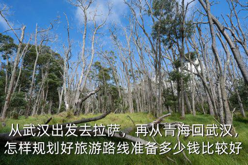 從武漢出發去拉薩，再從青海回武漢，怎樣規劃好旅游路線準備多少錢比較好