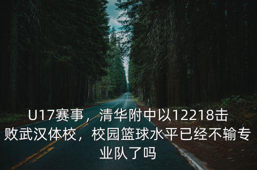武漢體院男籃水平怎么樣,武漢體育學院怎么樣